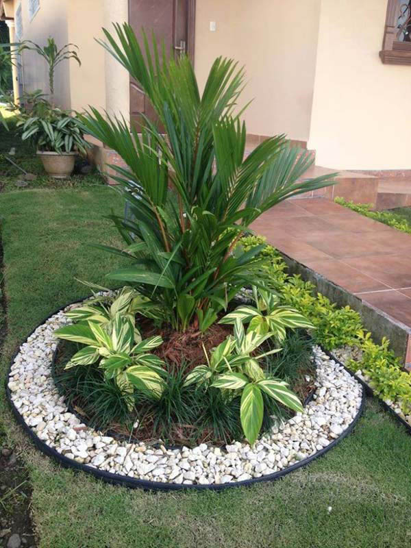 Circle with pebbles #lawnedging #lawnedgingideas #landscaping #gardening #gardens #gardenideas #gardeninigtips #decorhomeideas
