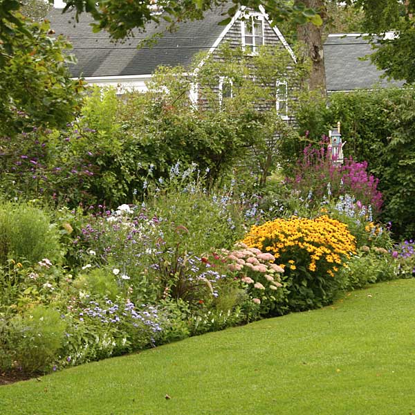 Lawn edging layout #cottagegarden #cottage #garden #landscaping #backyard #flowers #decorhomeideas