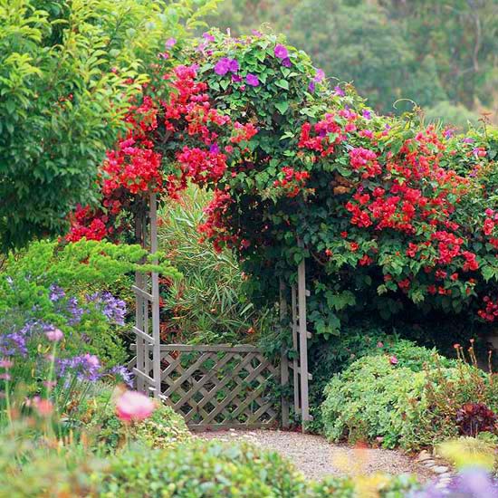 Red roses trellis cottage garden #cottagegarden #cottage #garden #landscaping #backyard #flowers #decorhomeideas