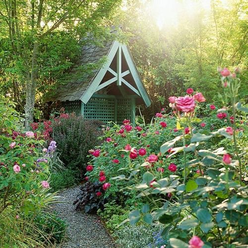 Tiny cottage garden #cottagegarden #cottage #garden #landscaping #backyard #flowers #decorhomeideas