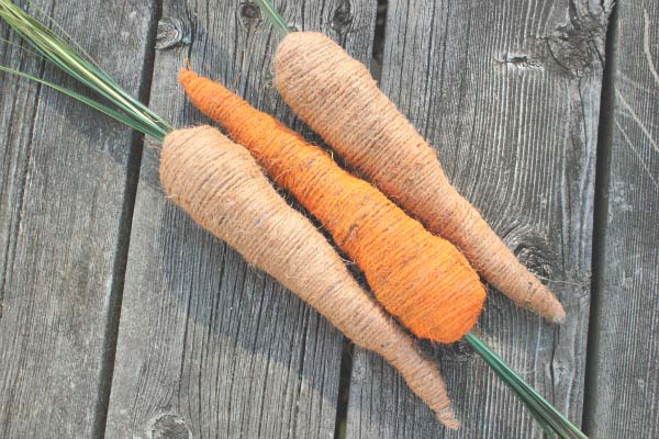 DIY Easter Decor Carrots #easter #diy #rustic #decor #decorhomeideas