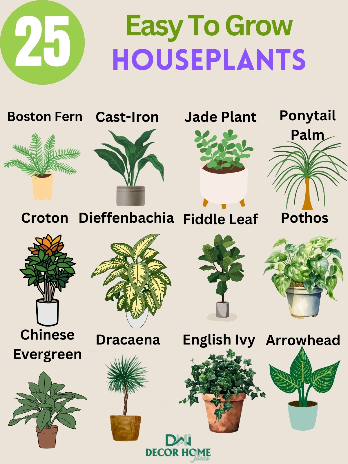 25 Easy To Grow Houseplants ( With Photos )