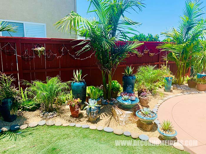 Backyard Succulent Garden
