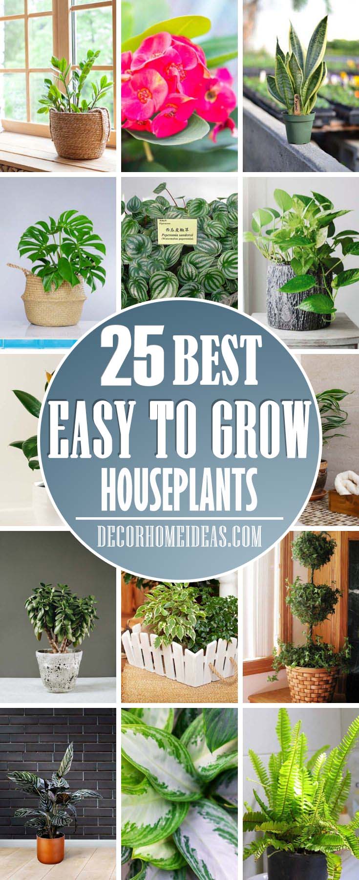 Easy To Grow Houseplants. Take a look at some fantastic, easy to grow houseplants you can raise yourself at home. These plants could be grown even by a beginner. #houseplant #grow #easy #decorhomeideas