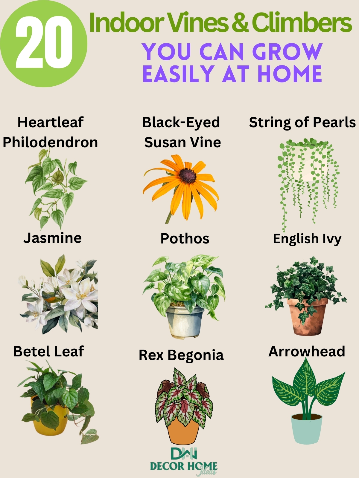 20 Beautiful Indoor Vines And Climbers You Can Grow Easily At Home