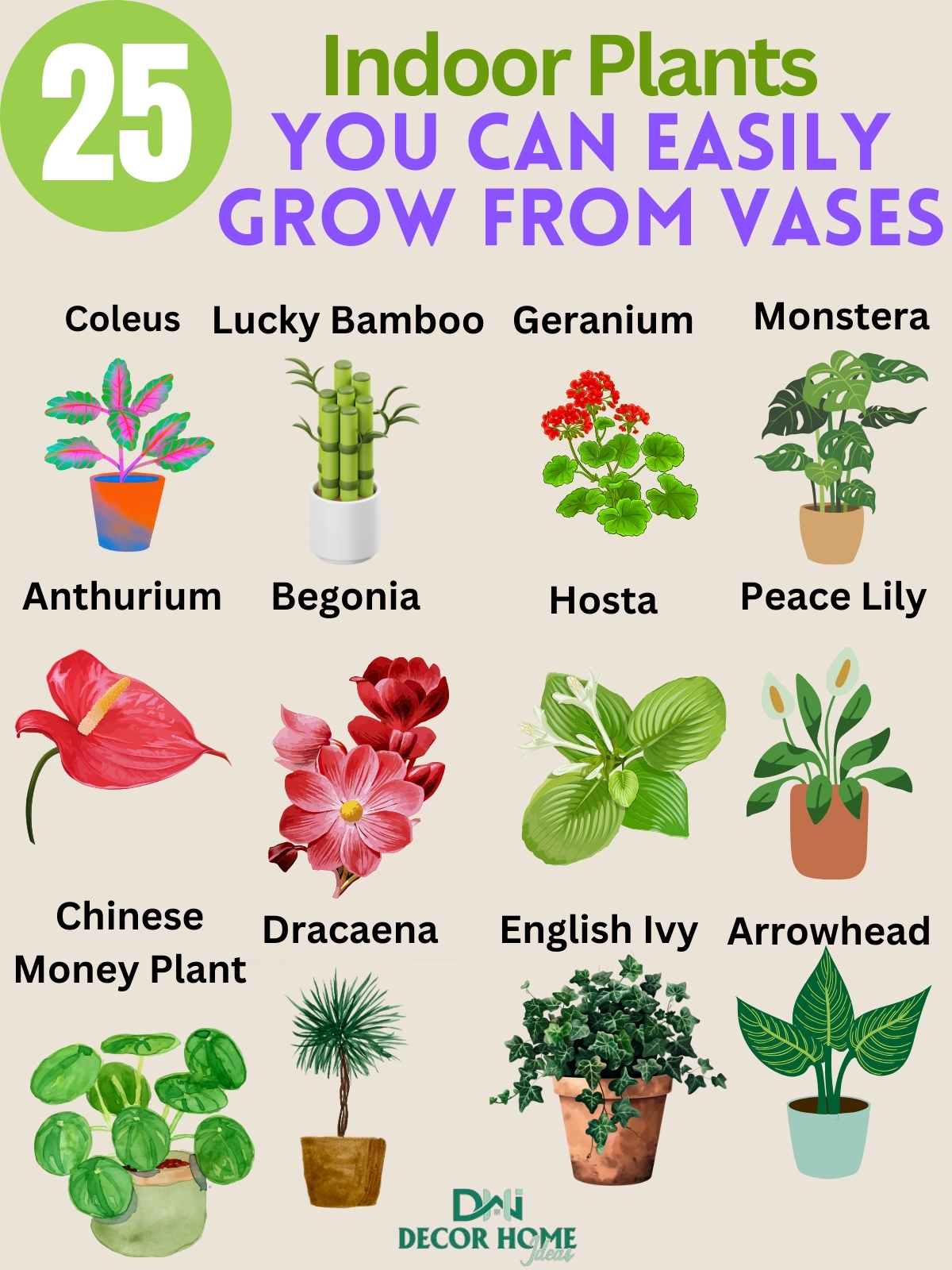 25 Most Popular Indoor Plants You Can Easily Grow In Vases