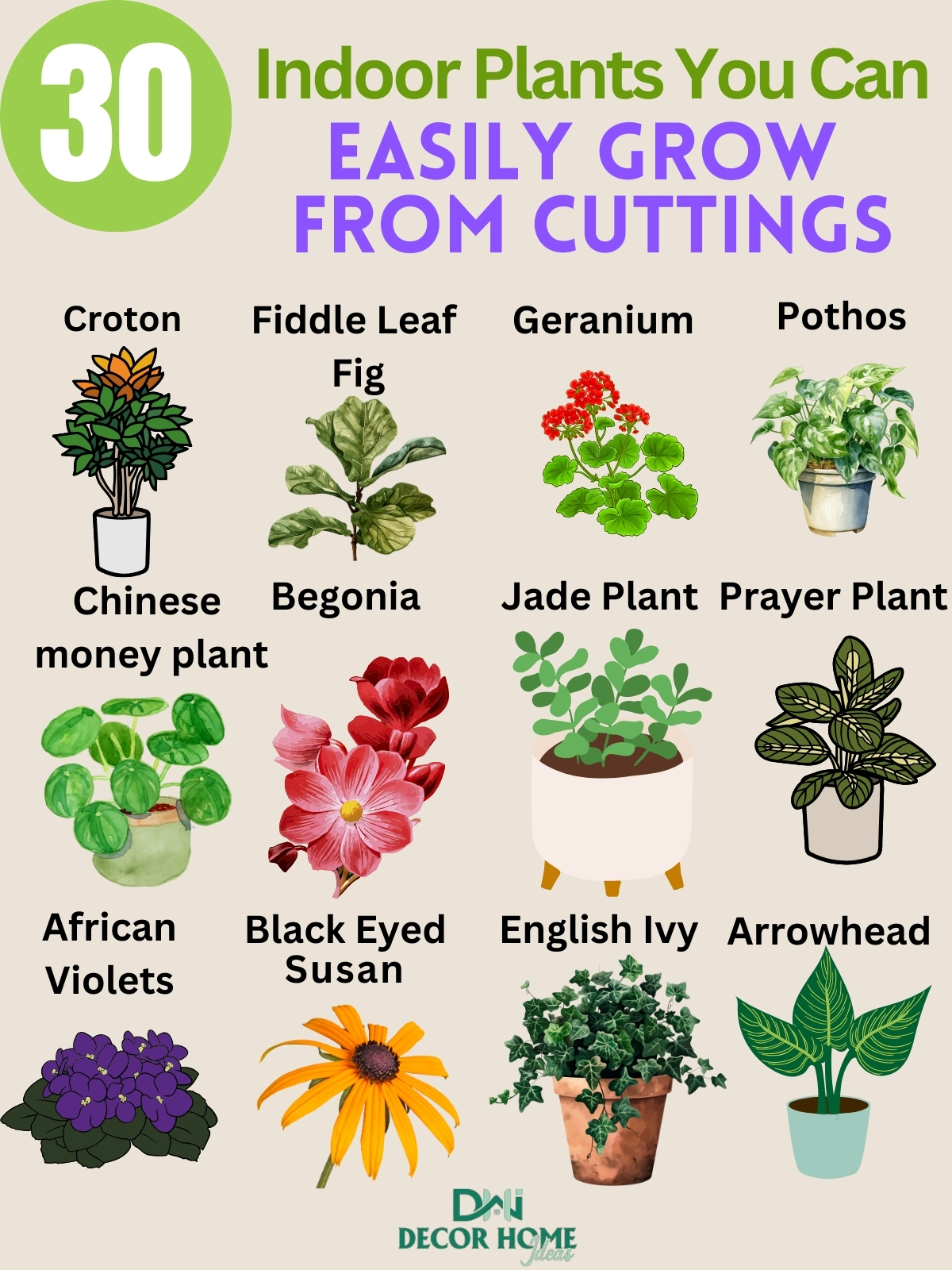 30 Beautiful Indoor Plants You Can Easily Grow from Cuttings