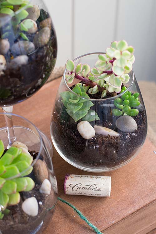 DIY Wine Glass Terrariums #planter #olditems #kitchen #decorhomeideas