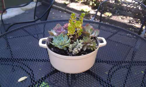 Dutch Oven Planter #planter #olditems #kitchen #decorhomeideas