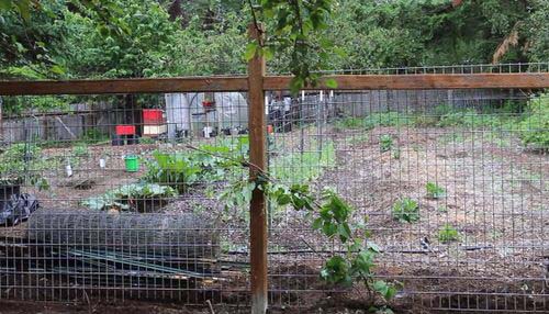 Beautiful DIY Fence #privacyfence #diy #fencingideas #decorhomeideas
