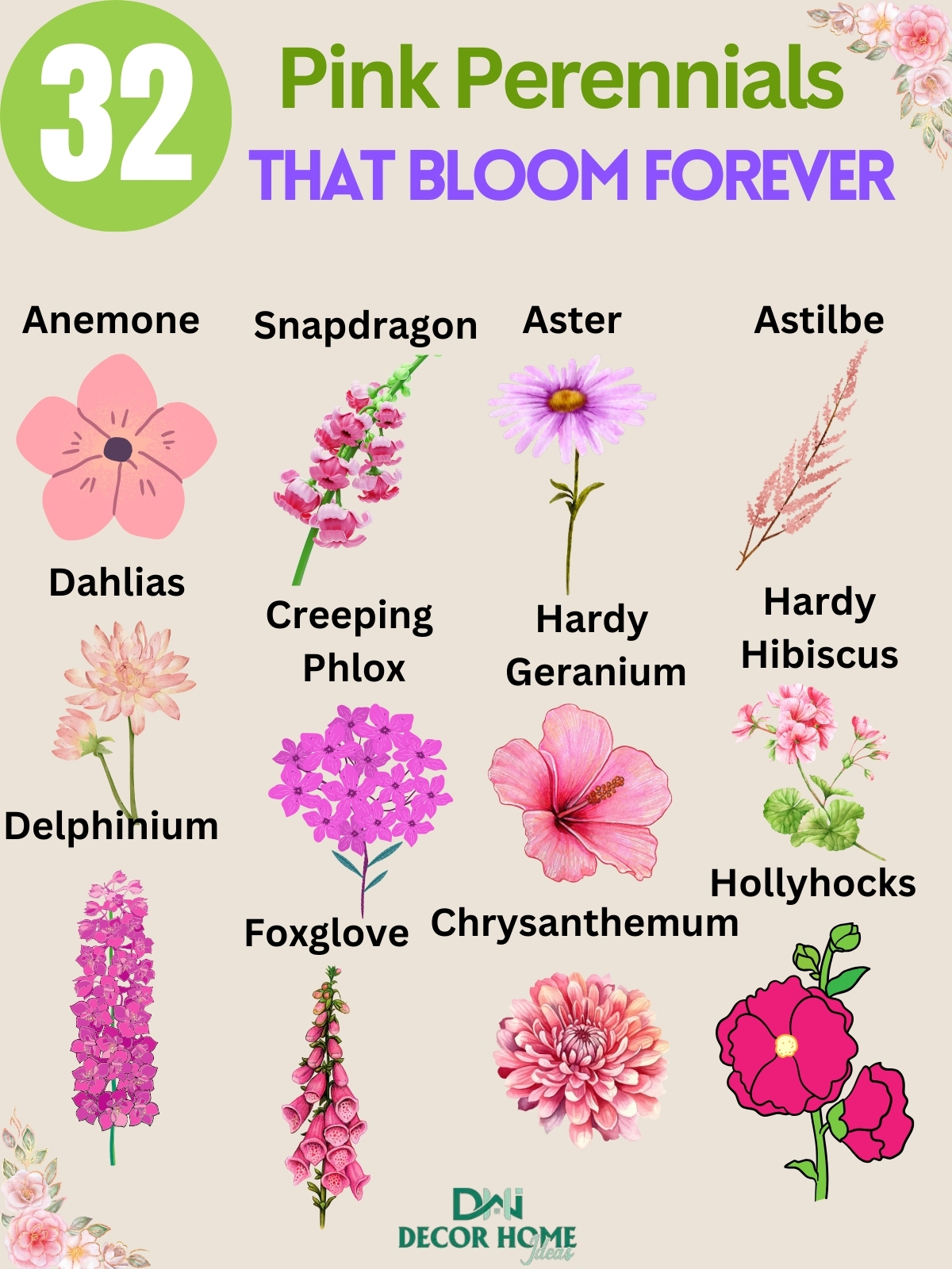 32 Best Pink Perennial Flowers That Will Bloom Forever