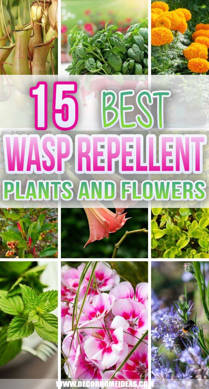Best Wasp Repellent Plants. These are the best wasp repellent plants to include in your landscaping that are gorgeous and also keep those nasty wasps away without toxic chemicals. #decorhomeideas