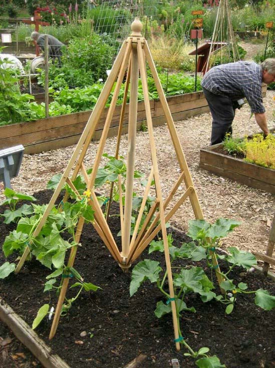 Cute Umbrella Styled Teepee #plantsupport #tomatocage #decorhomeideas