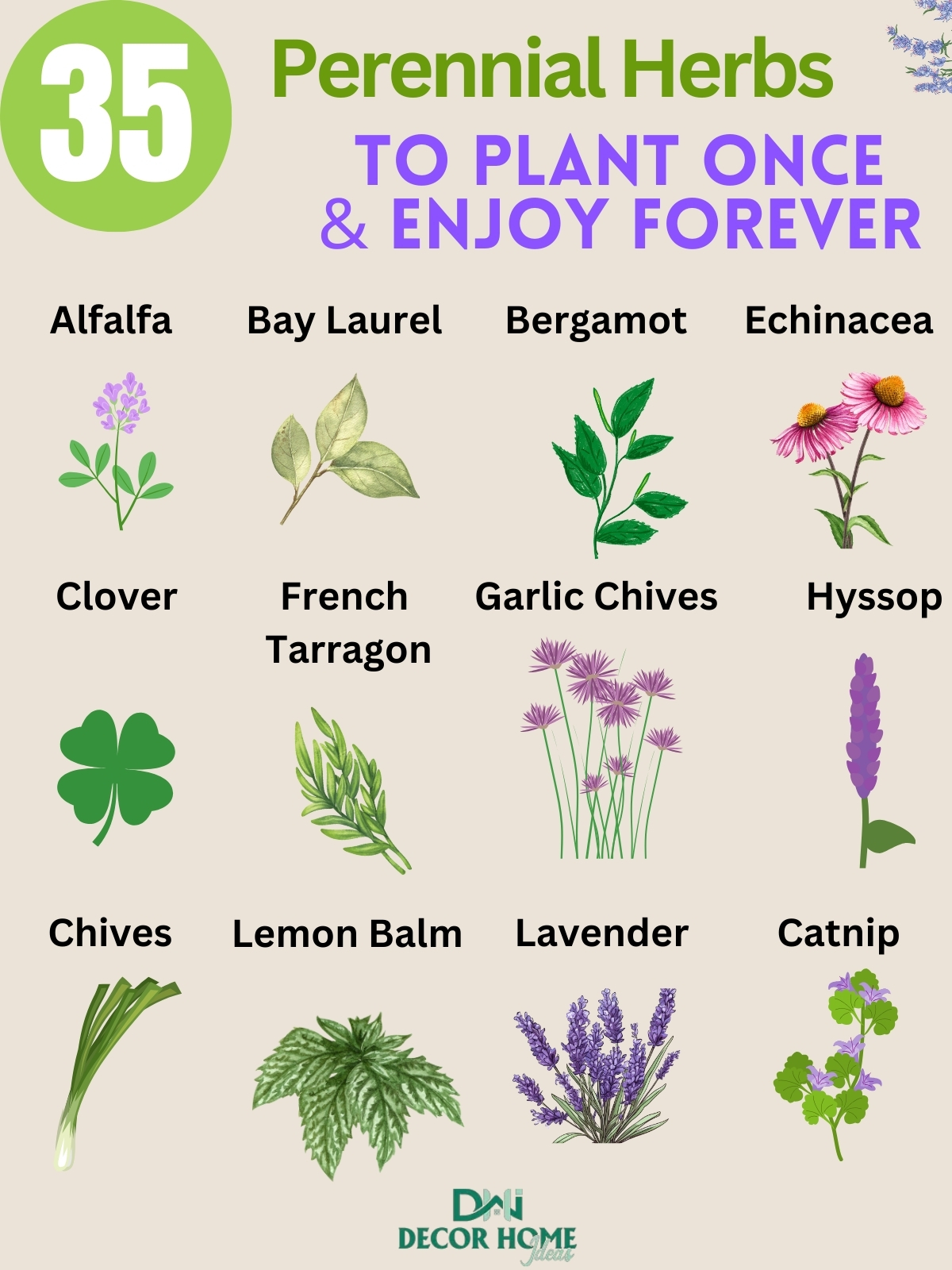 35 Best Perennial Herbs To Plant Once & Enjoy Forever