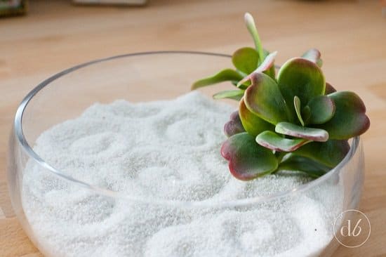 Quick Zen Garden #zengarden #minigarden #decorhomeideas
