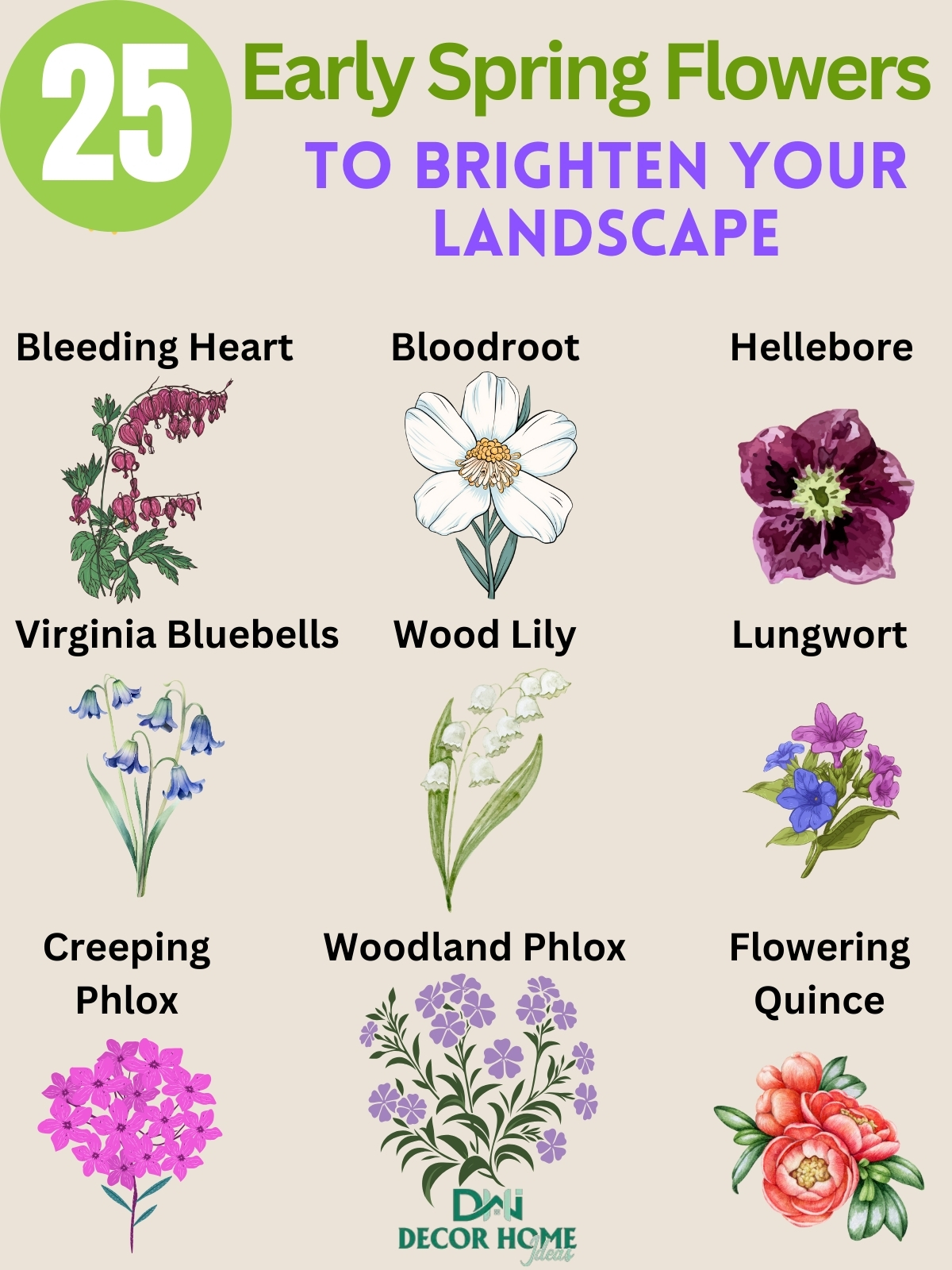 25 Best Early Spring Flowers To Brighten Your Landscape