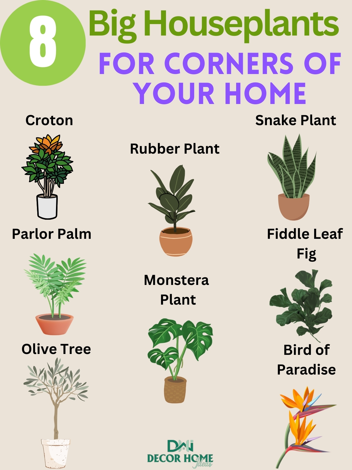 8 Beautiful Big Houseplants For The Corners of Your Home
