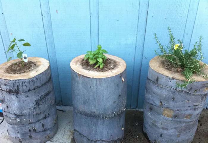 Palm Planter Stump #decorhomeideas