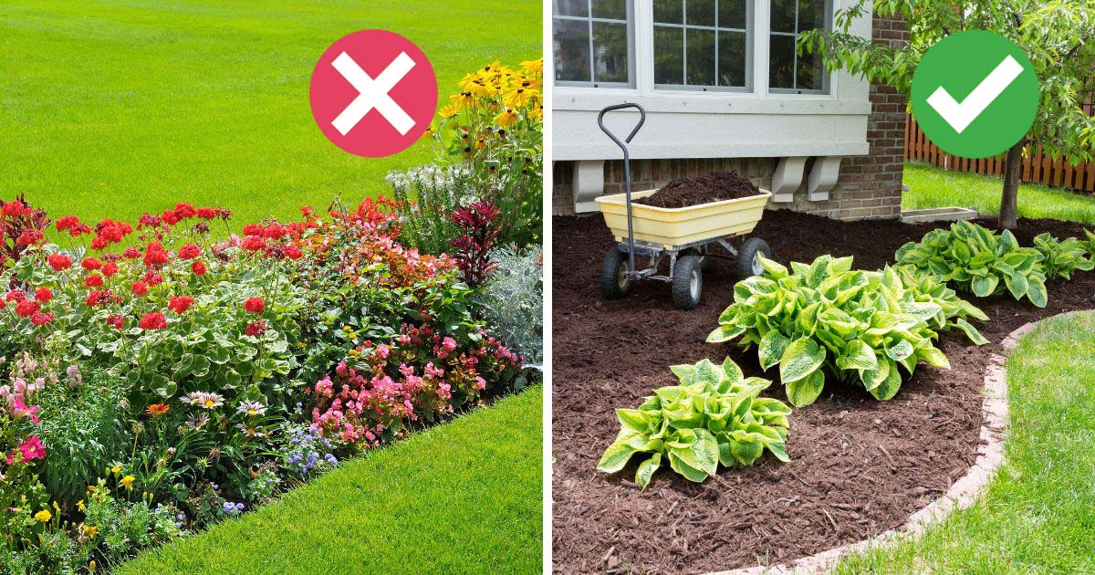 Cheap Landscaping Fixes