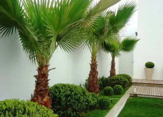 14. #decorhomeideas