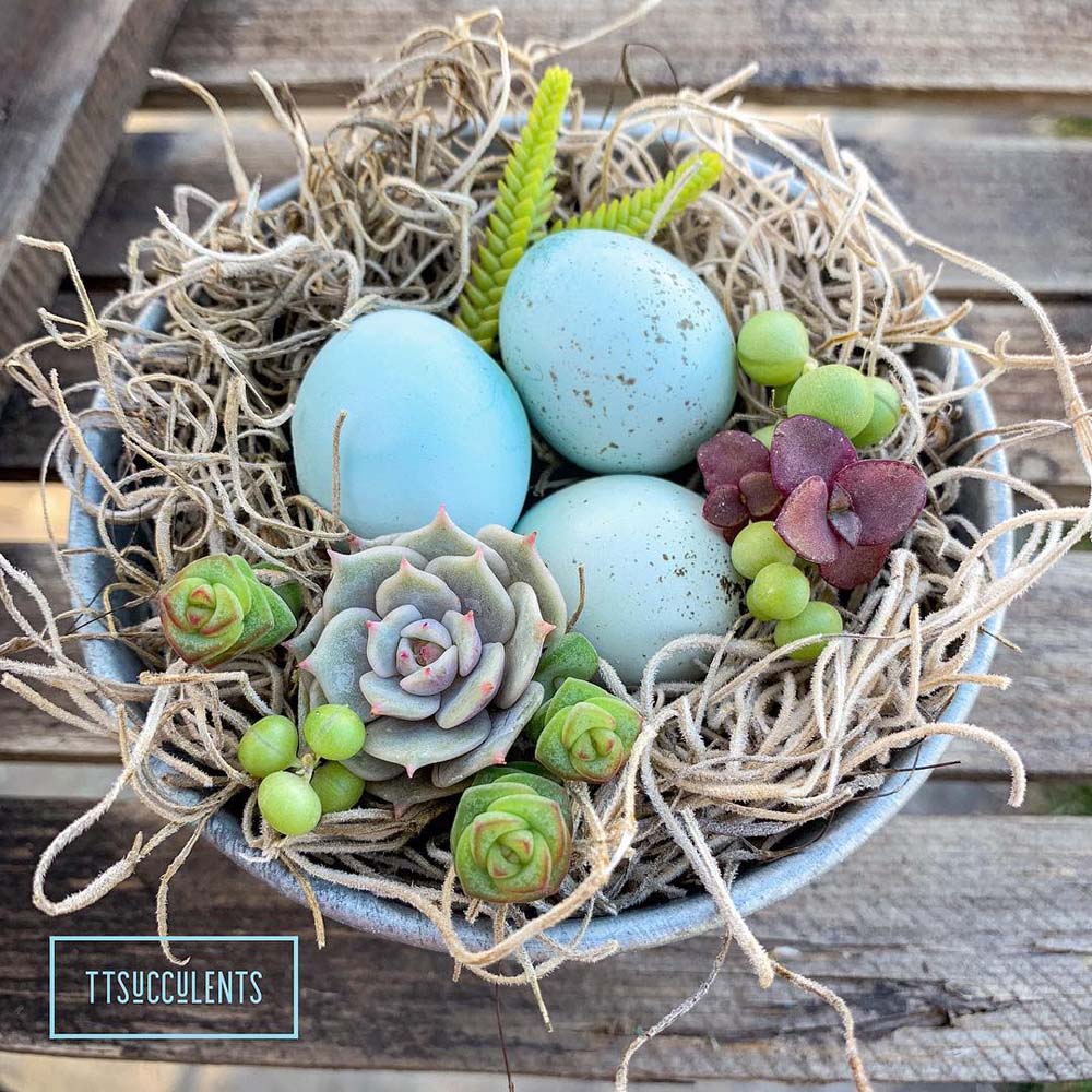 2. #decorhomeideas