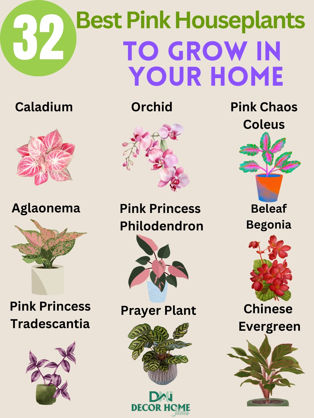 32 Beautiful Pink Houseplants You Would Love To Grow In Your Home