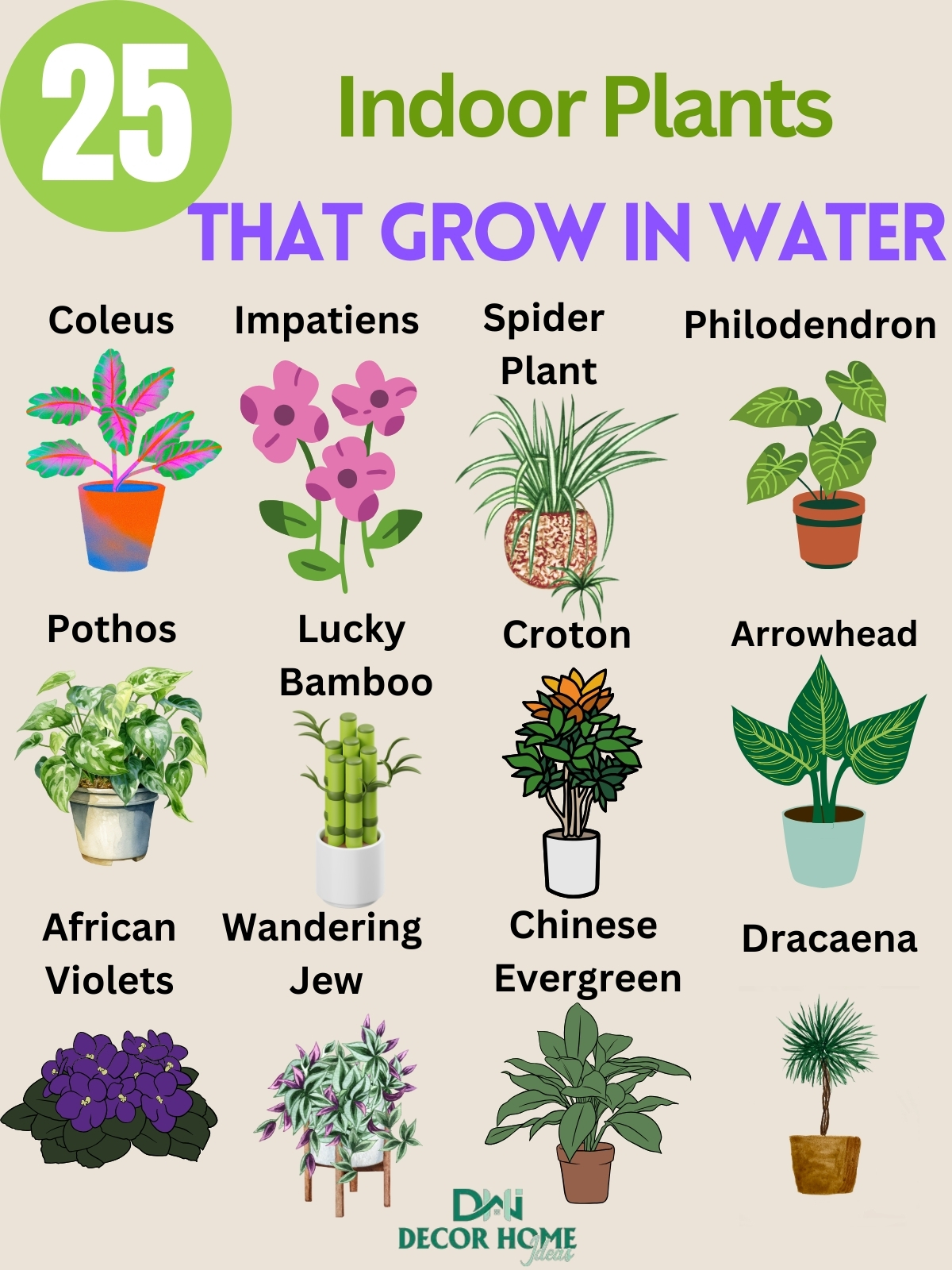 25 Amazing Indoor Plants That Grow In Water