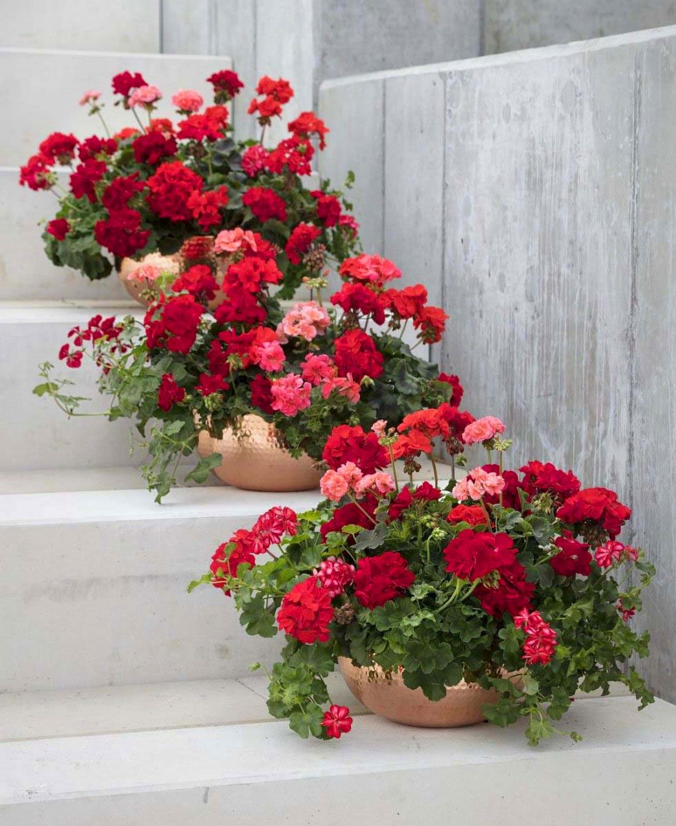 18. #decorhomeideas