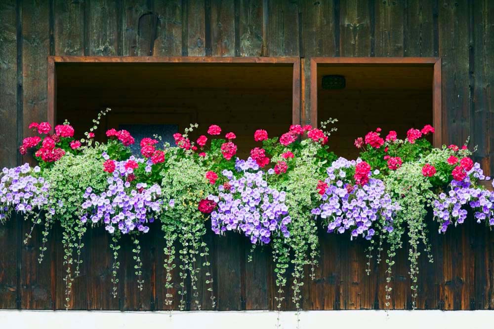 29. #decorhomeideas