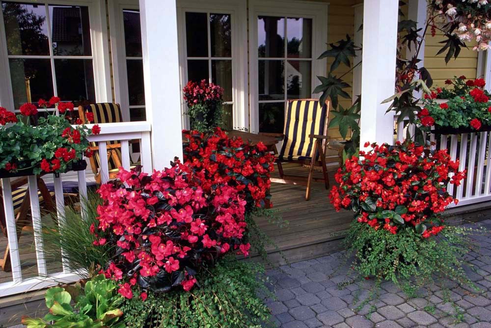 3. #decorhomeideas
