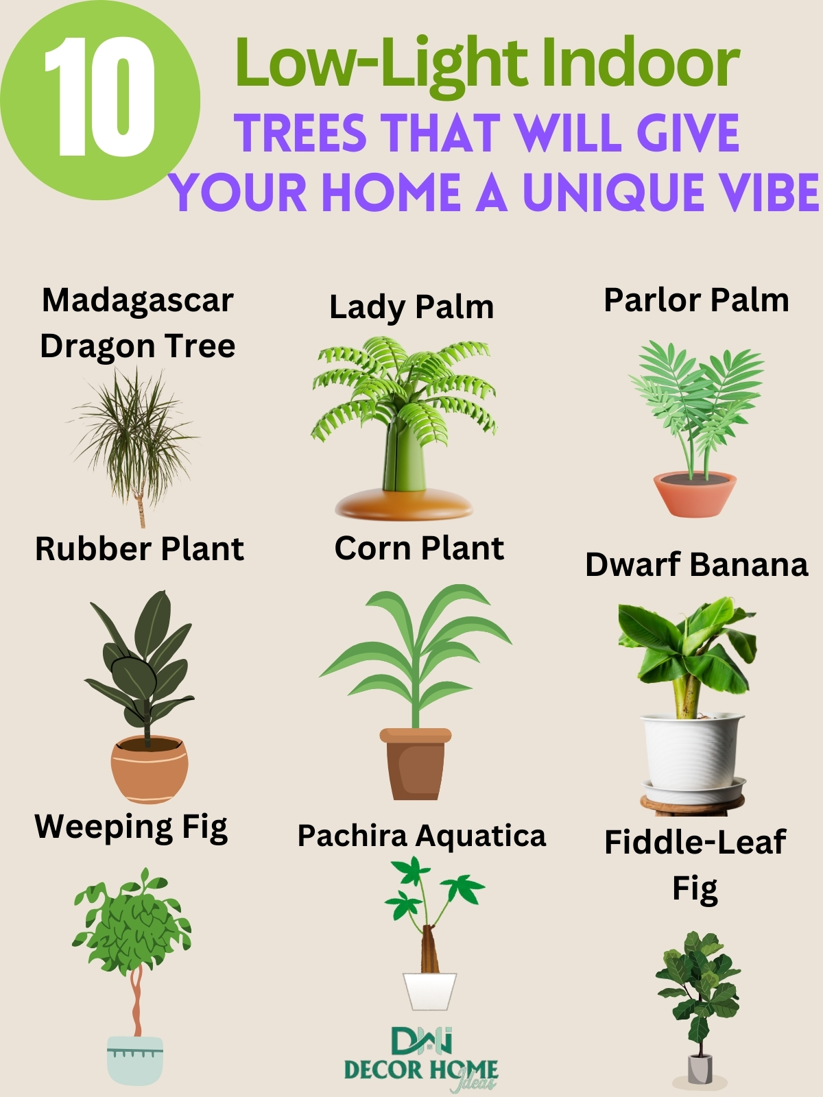 10 Low Light Indoor Trees That Will Give Your Home a Unique Vibe