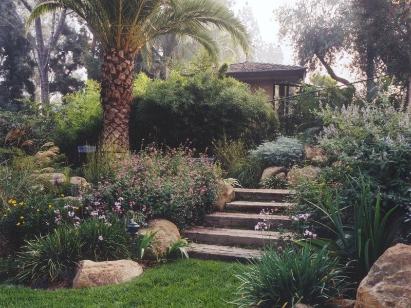 Steps Away