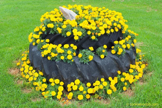 Circle Flower Garden