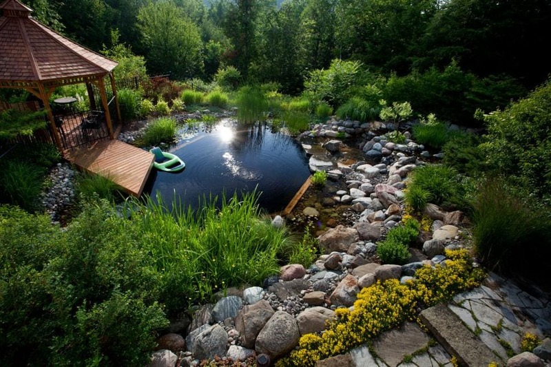 The Swimming Pool as a Nature Pond