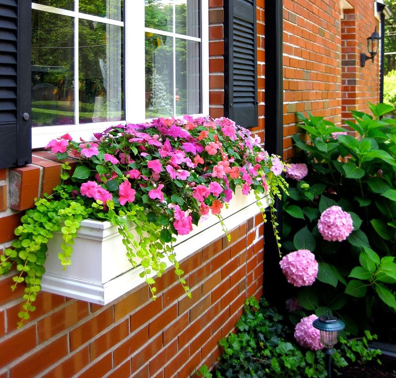 Combined Up Growing with Hanging Plants Window Box