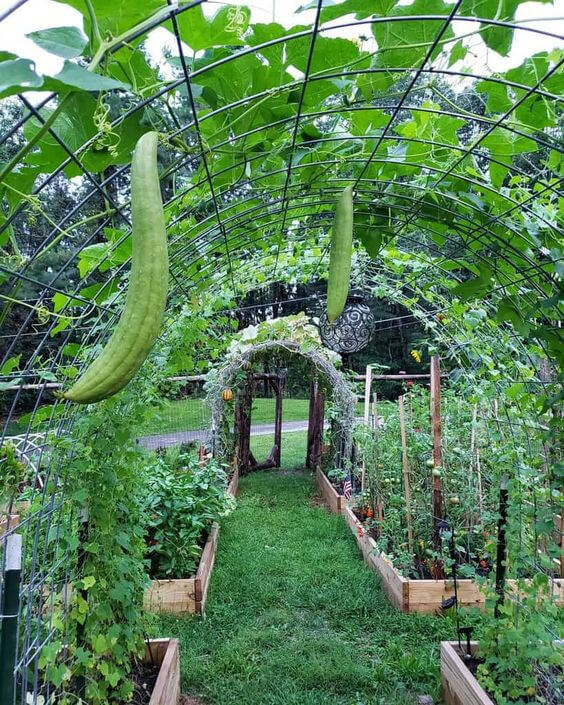 Charming Arched Idea