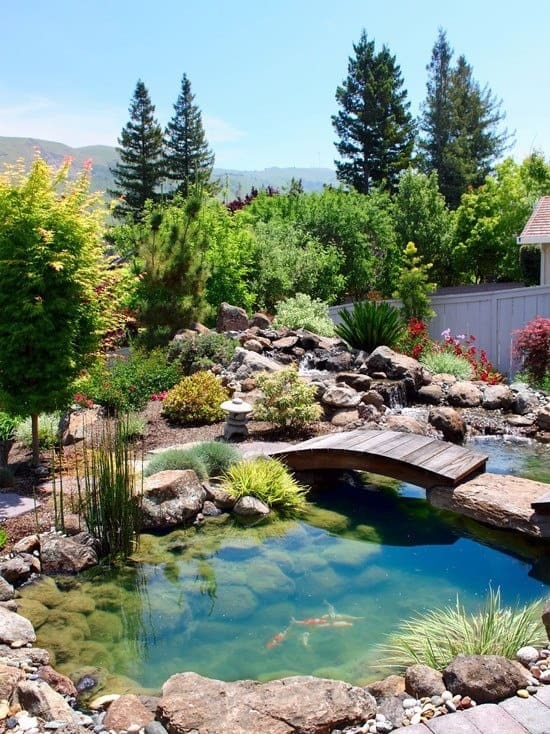 This Is How Beautiful Backyard With A Pond Could Be. Of Course, Fishes And A Wood Bridge Add Some Goodness To This Beauty
