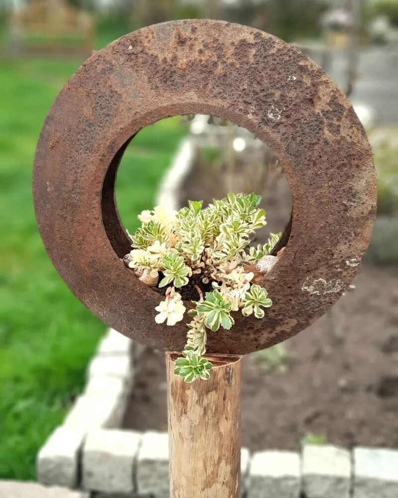 Rusty Turn Pretty