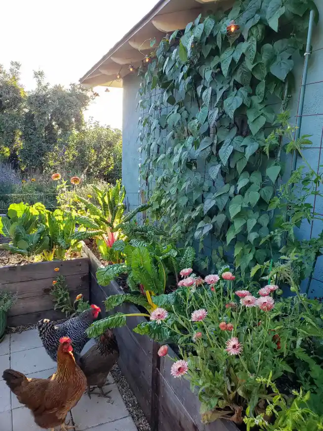Craft a Flat Vertical Trellis