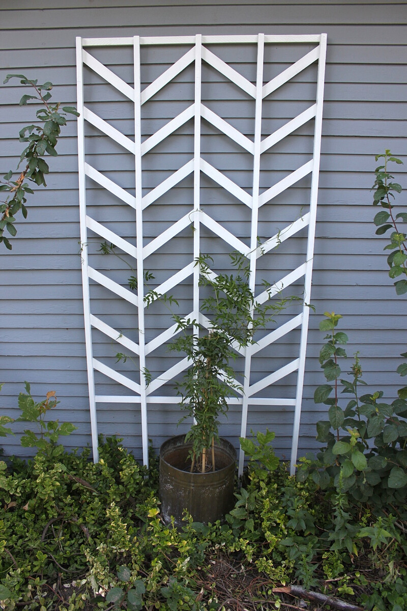 DIY Chevron Trellis