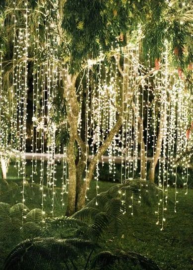 Décor Tree By Lights