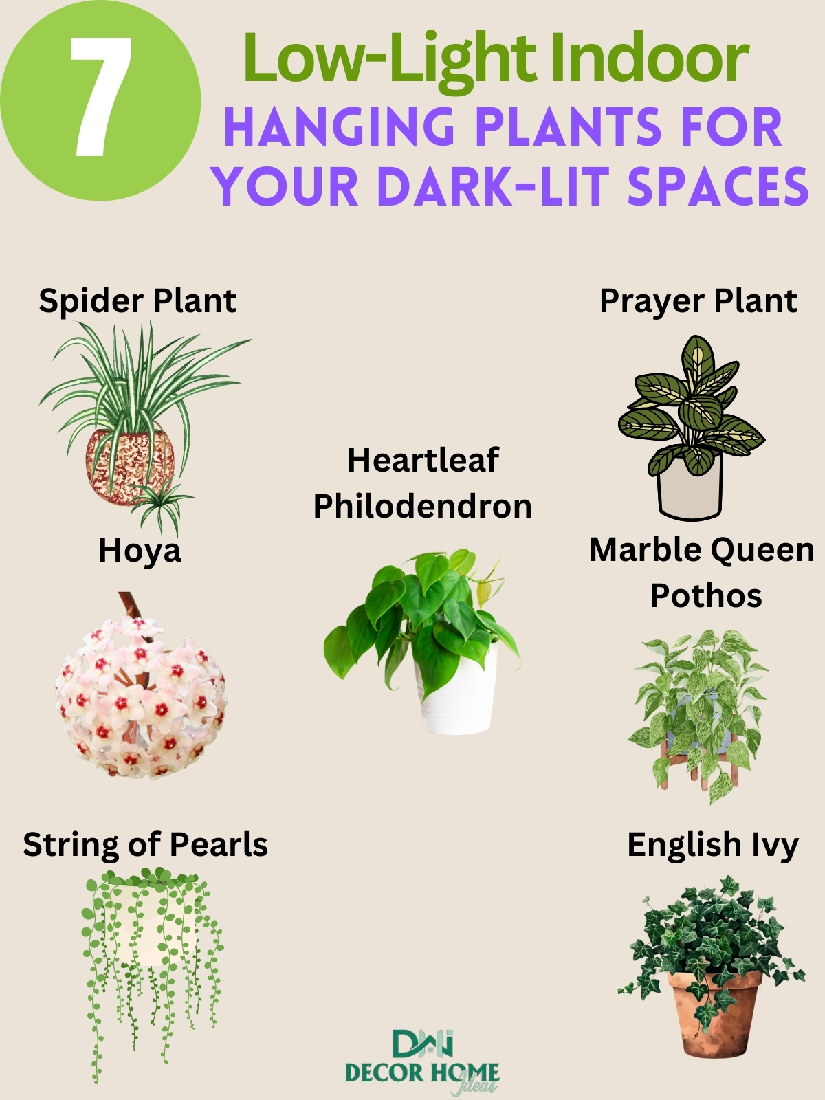 7 Low Light Indoor Hanging Plants for Your Dark Lit Spaces