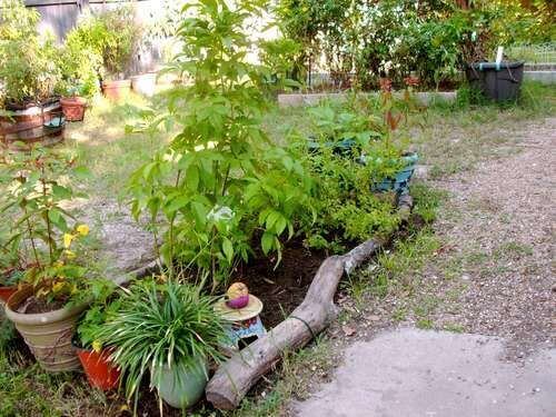 Log Flower Bed