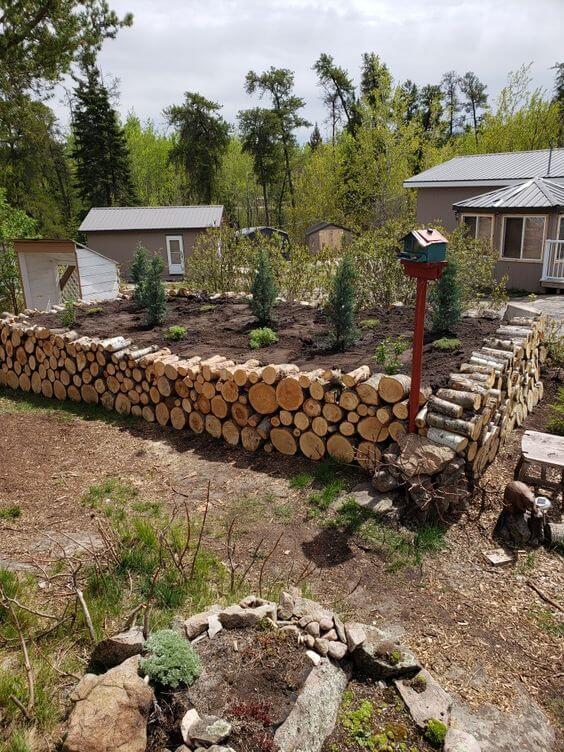 Low-Maintenance Raised Garden Bed