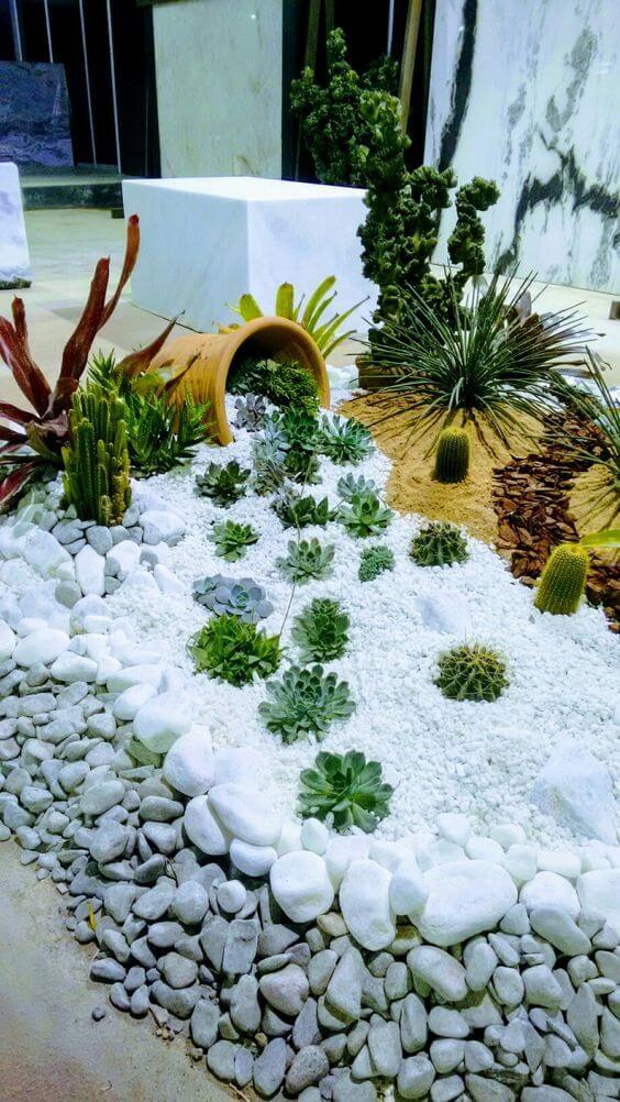 A Beautiful Spilled Landscape with White Rocks and Green Color from Succulent Leaves