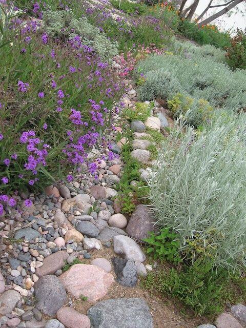 A Rustic Garden Path