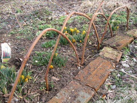 Garden Edging