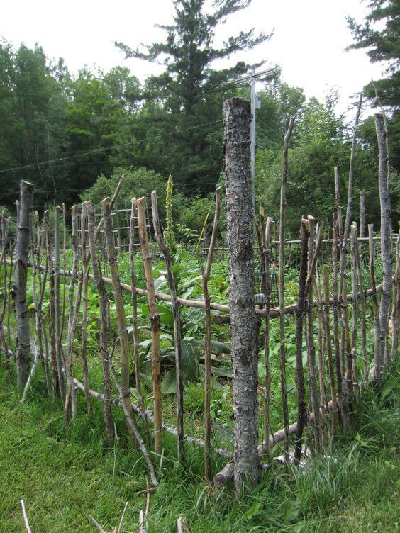Garden Fence