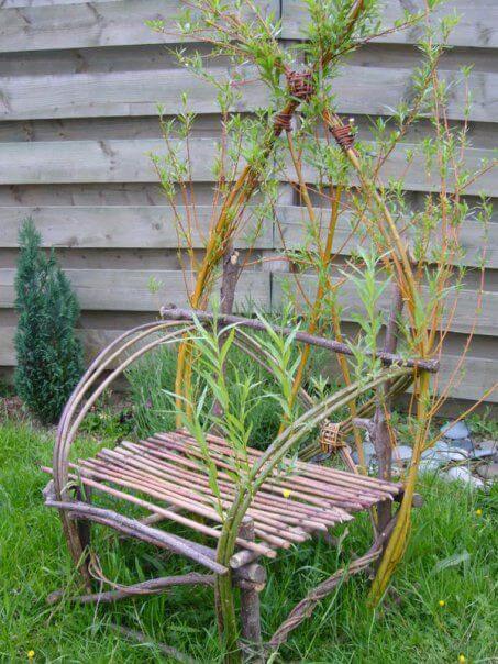 Living Willow Chair