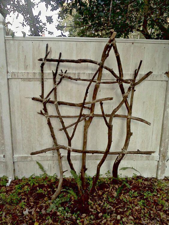 DIY Garden Trellis